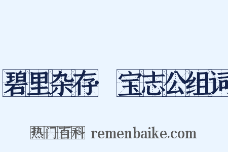 碧里杂存·宝志公组词是什么意思的图片